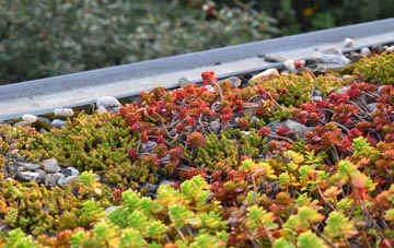 the cost of Upper Elkstone green roof installation