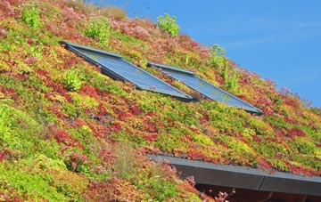 Upper Elkstone living roof systems