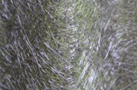 Upper Elkstone fibreglass roof work